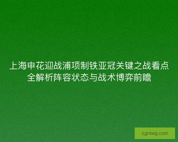 上海申花迎战浦项制铁亚冠关键之战看点全解析阵容状态与战术博弈前瞻 上海申花迎战浦项制铁亚冠关键之战看点全解析阵容状态与战术博弈前瞻