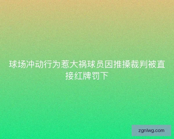 球场冲动行为惹大祸球员因推搡裁判被直接红牌罚下 球场冲动行为惹大祸球员因推搡裁判被直接红牌罚下