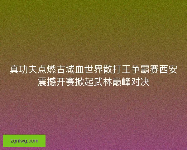 真功夫点燃古城血世界散打王争霸赛西安震撼开赛掀起武林巅峰对决