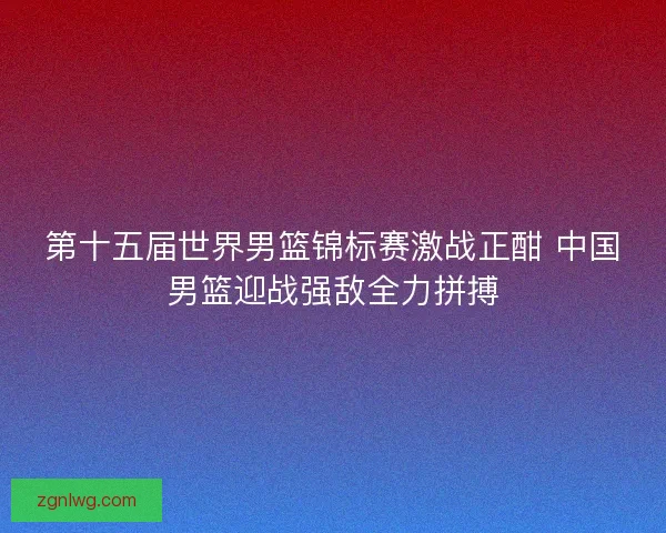 第十五届世界男篮锦标赛激战正酣 中国男篮迎战强敌全力拼搏