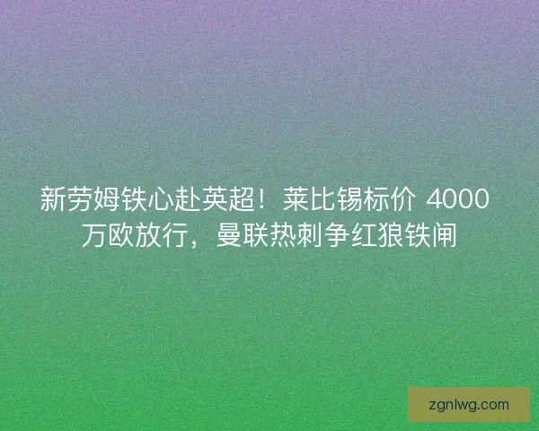 新劳姆铁心赴英超！莱比锡标价 4000 万欧放行，曼联热刺争红狼铁闸